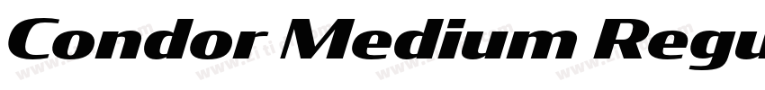 Condor Medium Regula字体转换
